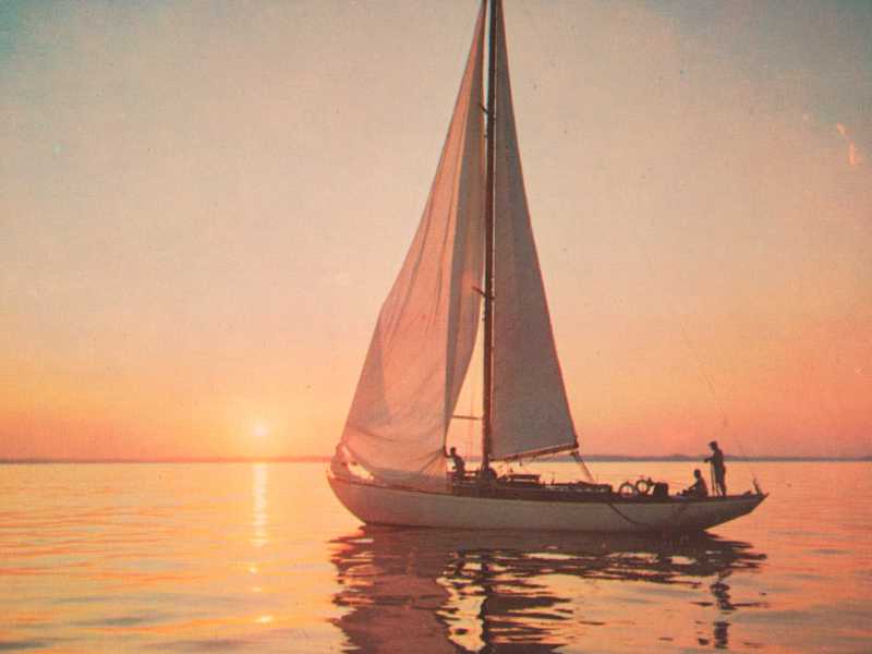 Crecimiento desbloqueado